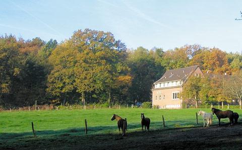 Forsthaus Schoental Hotel Aachen Exterior foto